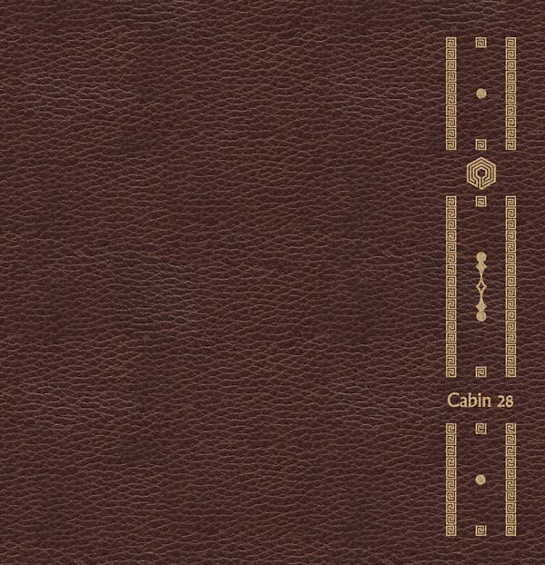 THE DUKE ST WORKSHOP - Cabin 28 CD CD
