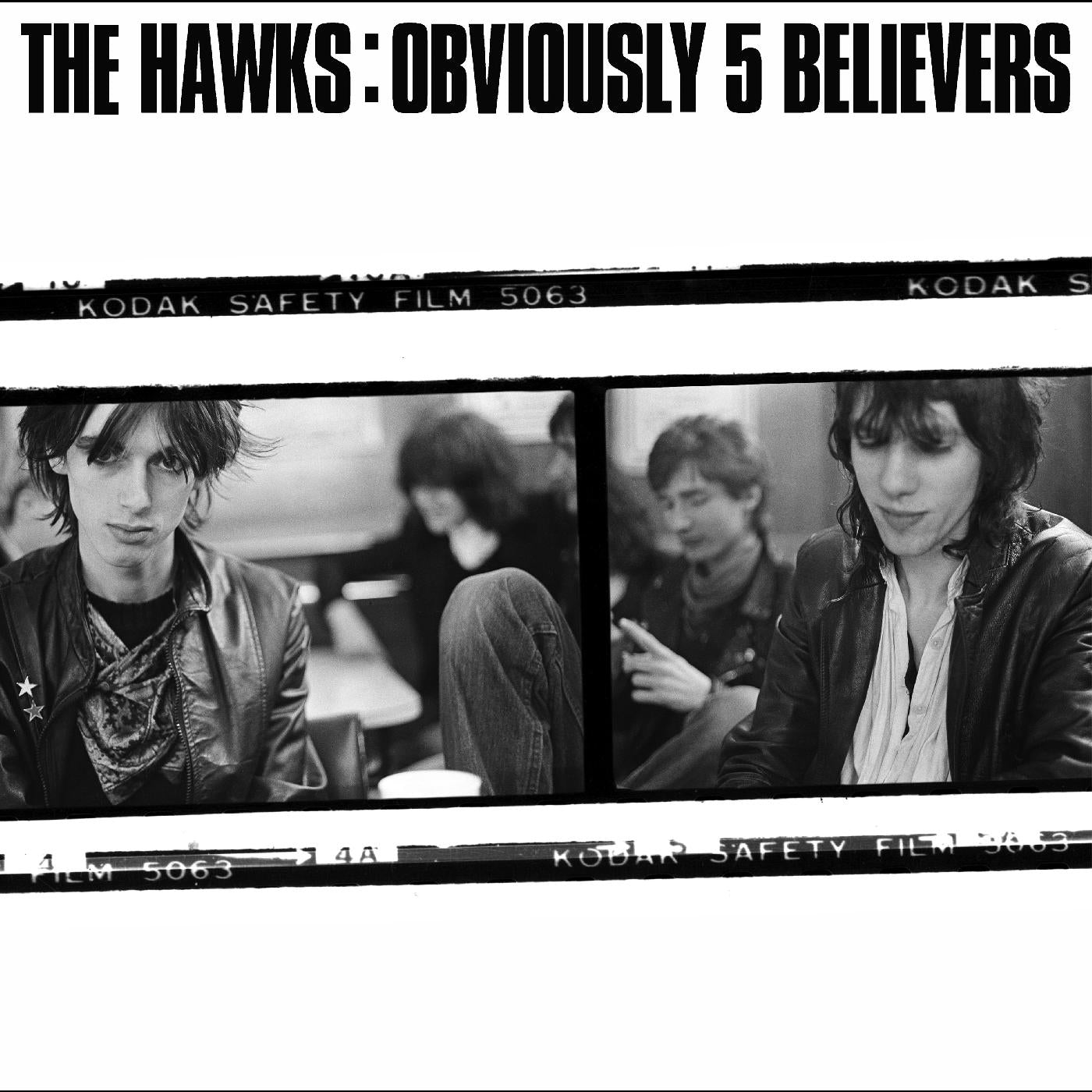 The Hawks - Obviously 5 Believe Vinyl LP