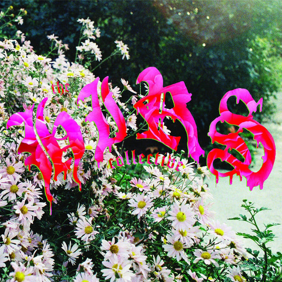 The HIRS Collective - We'Re Still Here (White Vinyl) Vinyl
