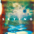The Horrors - Skying Vinyl LP standard Jacket