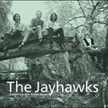 The Jayhawks - Tomorrow the Green Grass Vinyl