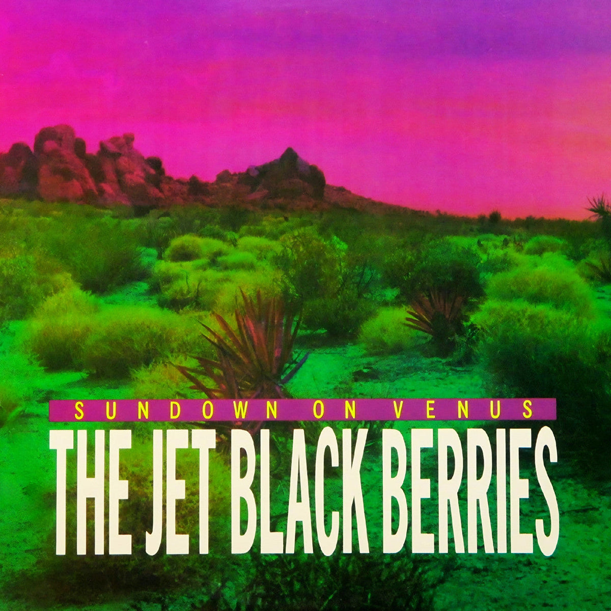 The Jet Black Berries - Sundown On Venus [Definitive Edition] Vinyl