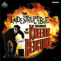 The Kneejerk Reactions - The Indestructible Sounds of Vinyl 1LP