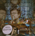 THE LENTILS - Brattleboro Is Flooding Vinyl LP
