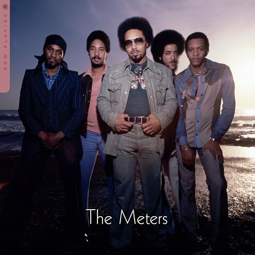 The Meters - Now Playing Vinyl