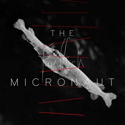 THE MICRONAUT - Friedfisch CD CD