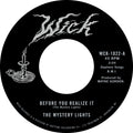 The Mystery Lights - Before You Realize It B/W Cerebral Crack Vinyl