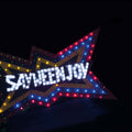 The Nest - Sayweenjoy CD CD