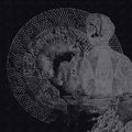 THE NORTH SEA - Bloodlines Vinyl LP