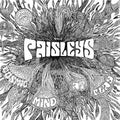 The Paisleys - Cosmic Mind At Play Vinyl LP