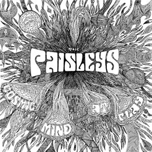 The Paisleys - Cosmic Mind At Play Vinyl LP