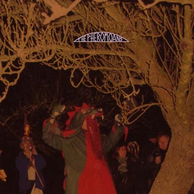 THE PHEROMOANS - Does This Guy Stack Up? CD CD