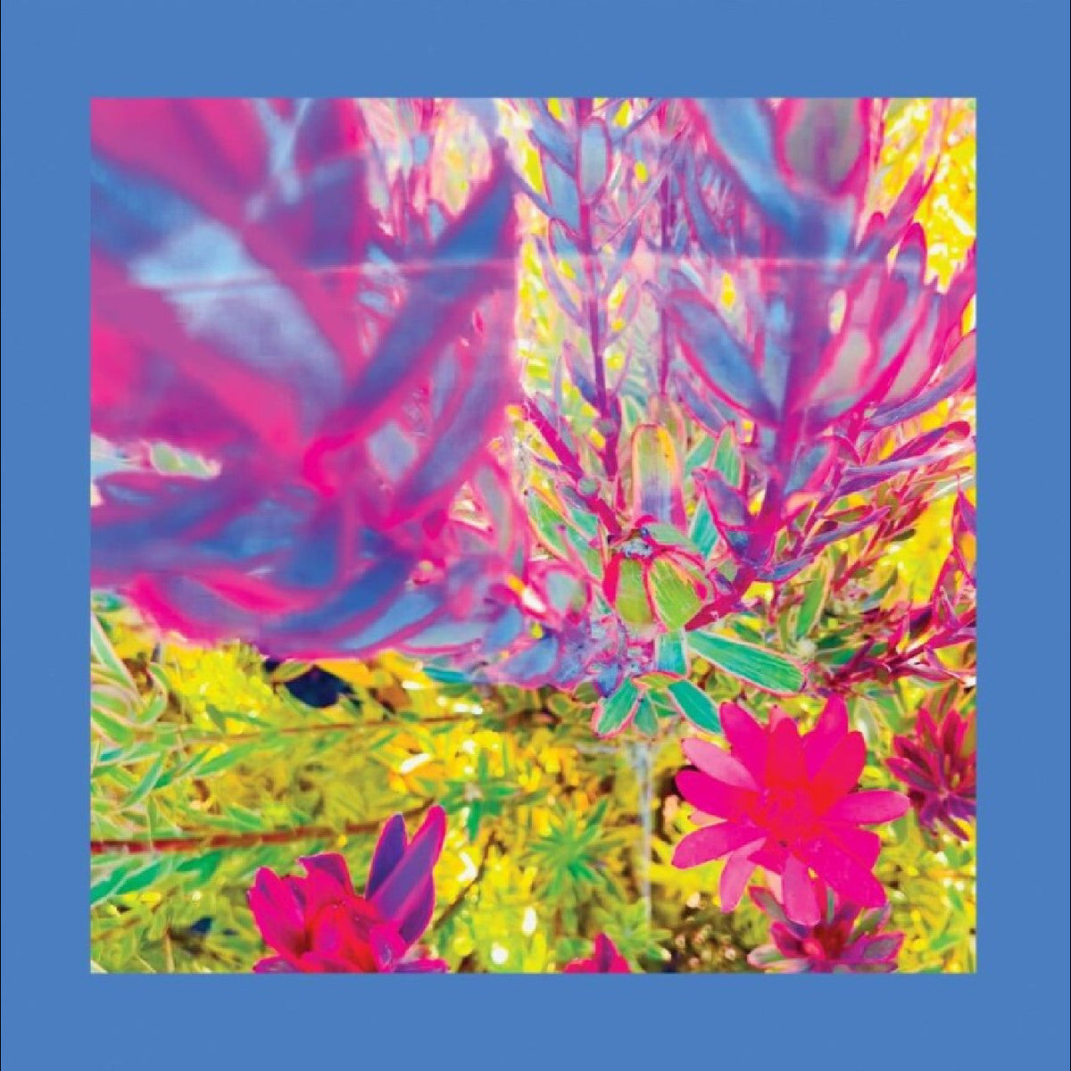 The Reds Pinks & Purples - The Past Is A Garden I Never Fed (Sky Blue Vinyl) Vinyl