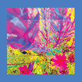 The Reds Pinks & Purples - The Past Is A Garden I Never Fed CD