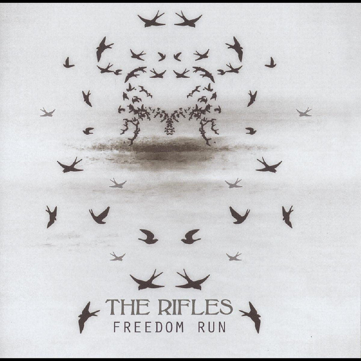 The Rifles - Freedom Run (Rosewood Vinyl) Vinyl
