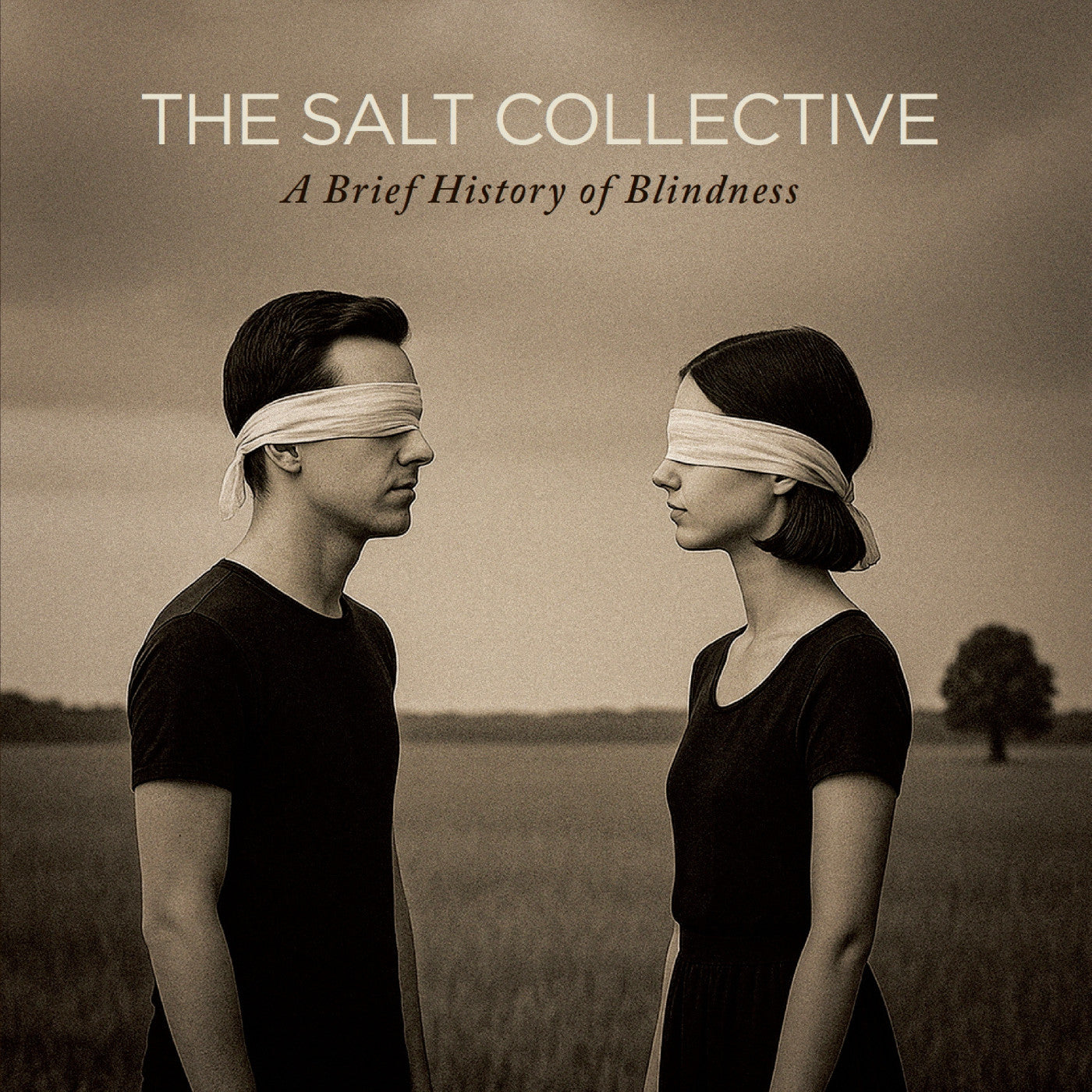 The Salt Collective - A Brief History Of Blindness CD