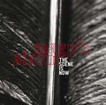 THE SCENE IS NOW - Magpie Alarm CD CD