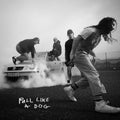 The Scratch - Pull Like A Dog (140G) [Transparent Yellow Vinyl] Vinyl
