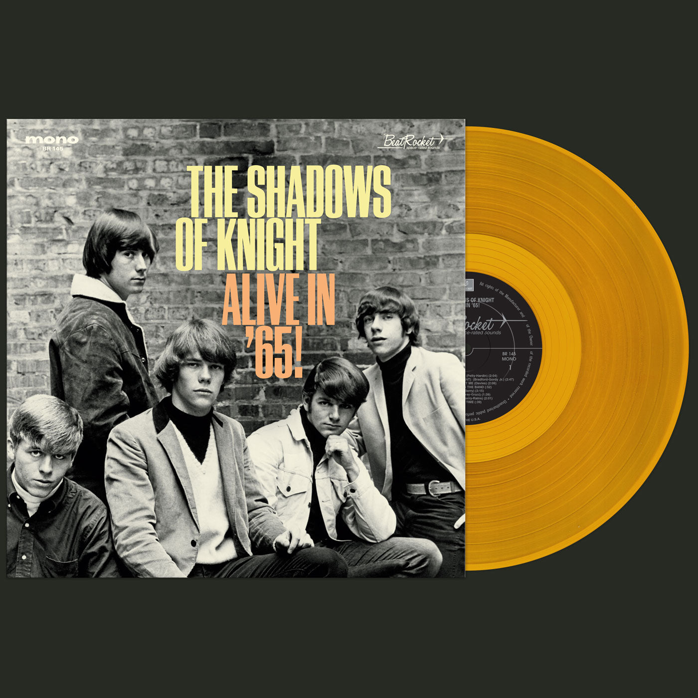 The Shadows Of Knight - Alive In '65! (GOLD VINYL) Vinyl LP Gold vinyl