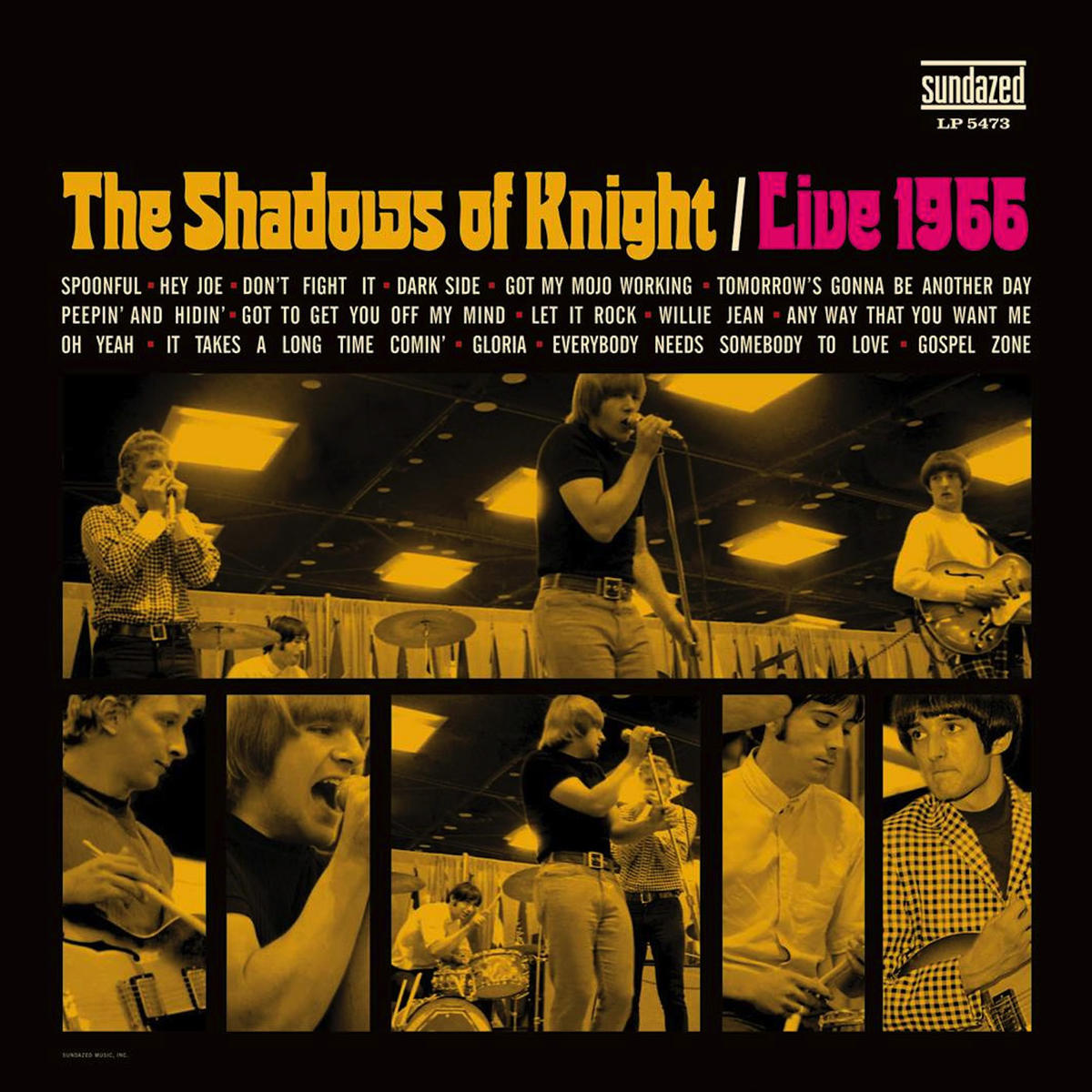 The Shadows Of Knight - Live 1966 Vinyl LP
