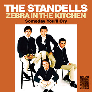The Standells - Zebra in the Kitchen / Someday You'll Cry Vinyl 7"