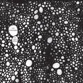 The Telescopes - As Light Return CD CD