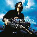 The Waterboys - A Rock In The Weary Land (Expanded Edition) (Blue Vinyl) Vinyl
