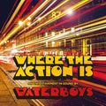 The Waterboys - Where The Action Is Vinyl
