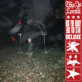 This Is Lorelei - Box For Buddy, Box For Star (Super Deluxe) CD