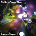 THOLLEM/PARKER/CLINE - Gowanus Sessions Ii Vinyl LP