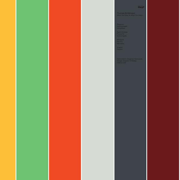 THOMAS BRINKMANN - What You Hear (Is What You Hear) Vinyl 2LP