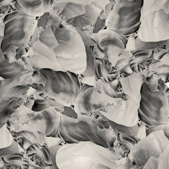 THRUPENCE - Ideas Of Aesthetics Vinyl LP