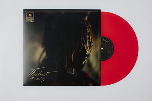 Thundercat - It Is What It Is (Colored Vinyl, Red, 140 Gram Vinyl, Photos) Vinyl LP 140g Red Vinyl, Housed In A 3mm Spined Sleeve w/ Gold Foil Detail [w/ download card]