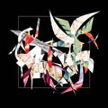 TIGER HATCHERY - Breathing In The Walls CD CD