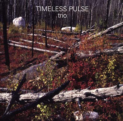 TIMELESS PULSE - Trio Vinyl 2LP