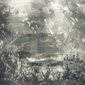 TIMO VAN LUIJK/KRIS VANDERSTRAETEN - Autour du Lac d'Asselt Vinyl LP