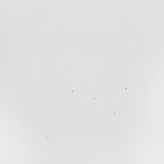 TODD ANDERSON-KUNERT - Conjectures Vinyl LP