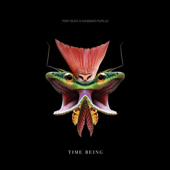 TONY BUCK & MASSIMO PUPILLO - Time Being Vinyl LP