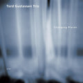 Tord Gustavsen Trio - Changing Places (Ecm Luminessence Series) [2LP] Vinyl