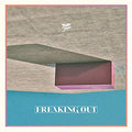 Toro Y Moi - Freaking Out Vinyl Single Sleeve LP w/ DL