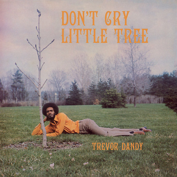 TREVOR DANDY - Don't Cry Little Tree CD CD