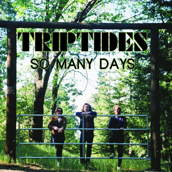Triptides - So Many Days EP Vinyl LP 12" Single