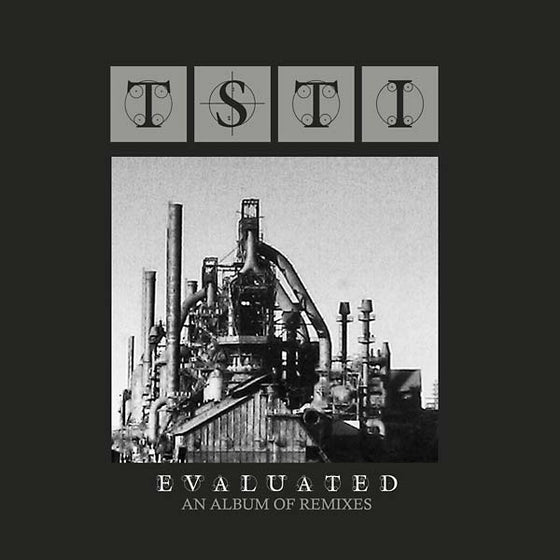 TSTI - Evaluated: An Album of Remixes Vinyl LP