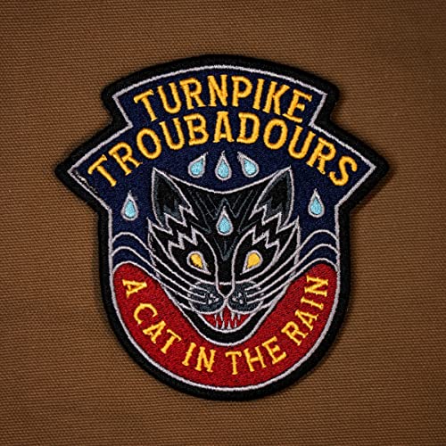 TURNPIKE TROUBADOURS - A Cat In The Rain Vinyl