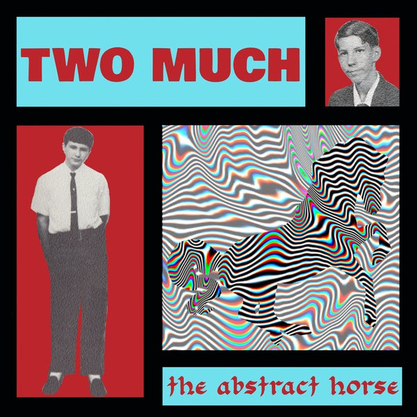 TWO MUCH - The Abstract Horse Vinyl LP