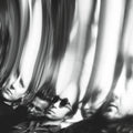 Ty Segall - Chrome Vinyl