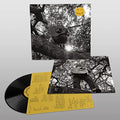 Ty Segall - "Hello, Hi" Vinyl LP inner sleeve w/lyrics