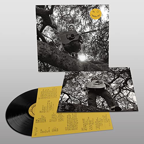 Ty Segall - "Hello, Hi" Vinyl LP inner sleeve w/lyrics