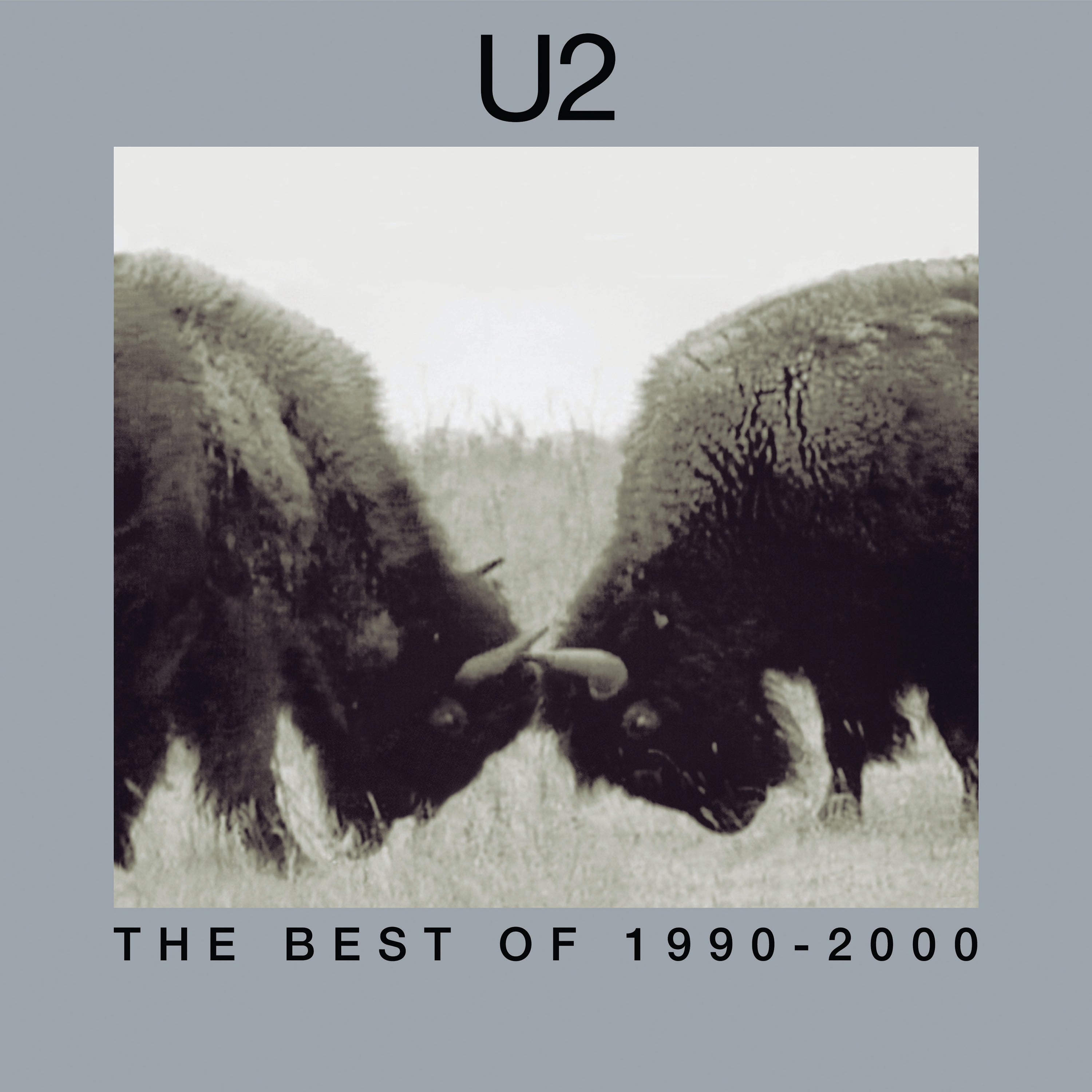 U2 - The Best Of 1990-2000 (180 Gram Vinyl) (2 Lp's) Vinyl
