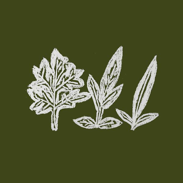 UENO TAKASHI - Variations of Weeds CD CD